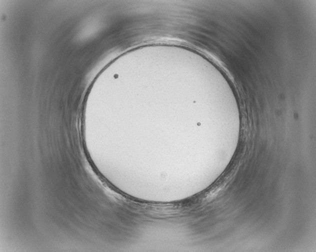 X0000052611007200507292144