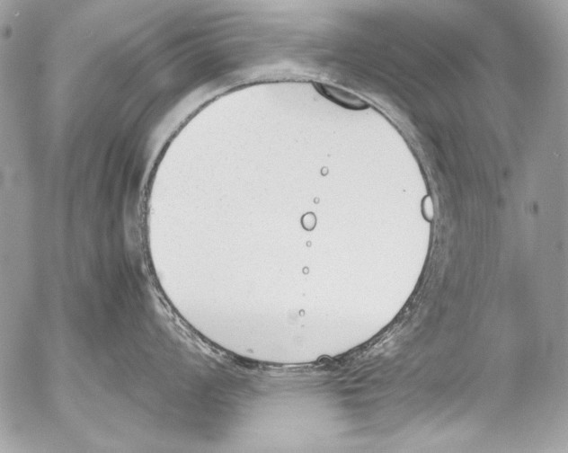 X0000052611008200507292144