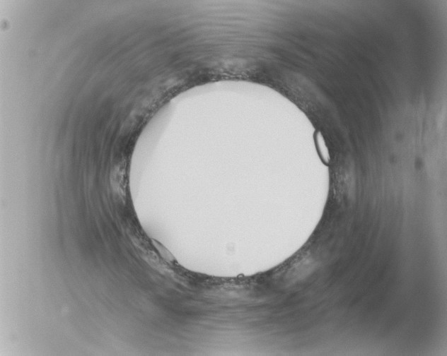 X0000052611010200507292143