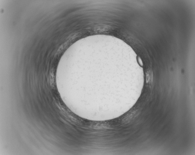 X0000052611011200507292143