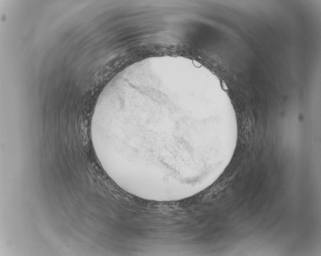 X0000052611013200507292143