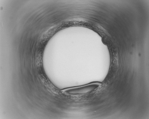 X0000052611014200507292143