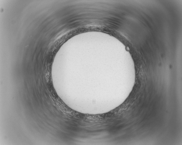 X0000052611015200507292143