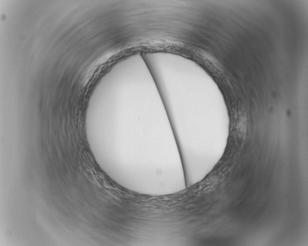 X0000052611016200507292143