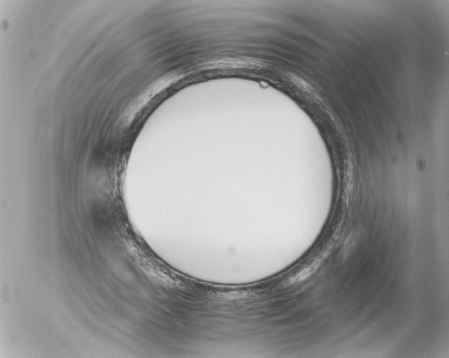 X0000052611017200507292143