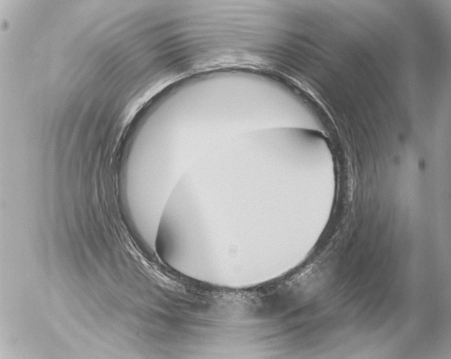 X0000052611018200507292143