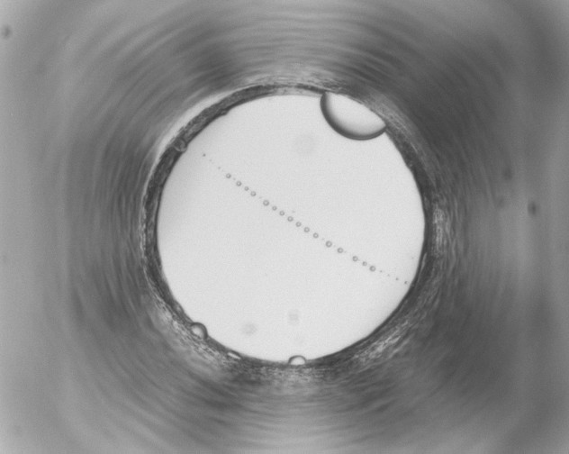 X0000052611020200507292143