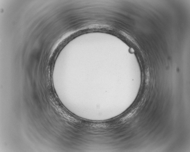 X0000052611021200507292143