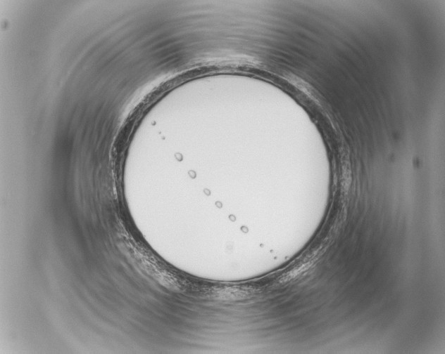 X0000052611022200507292143