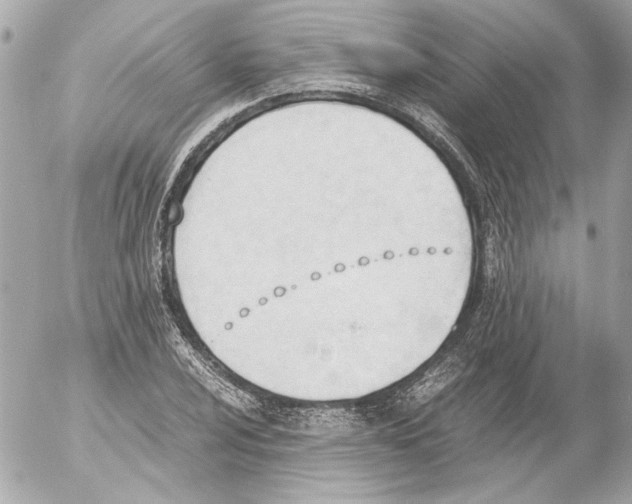 X0000052611024200507292143