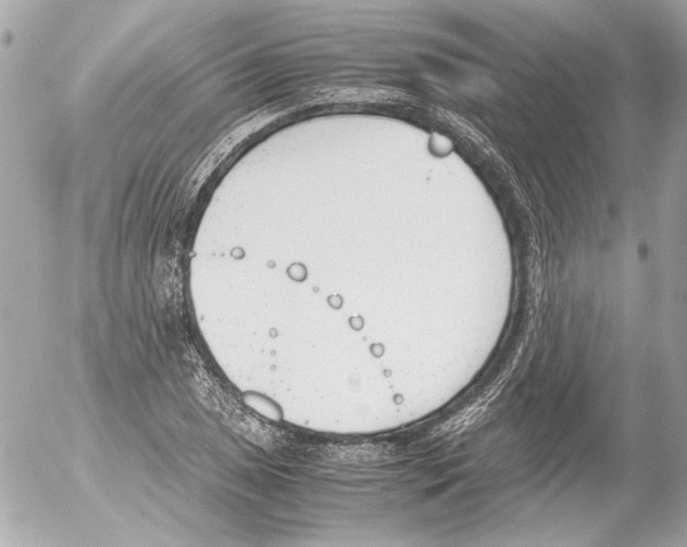 X0000052611025200507292143