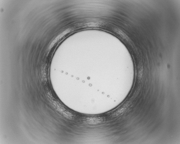 X0000052611026200507292143