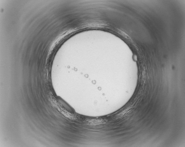 X0000052611027200507292143