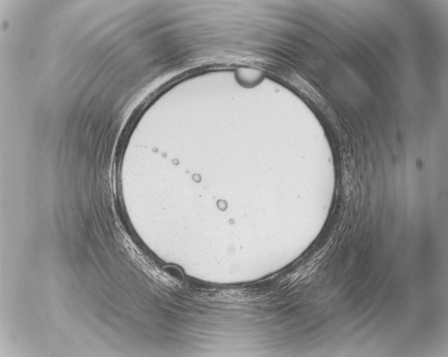 X0000052611028200507292143