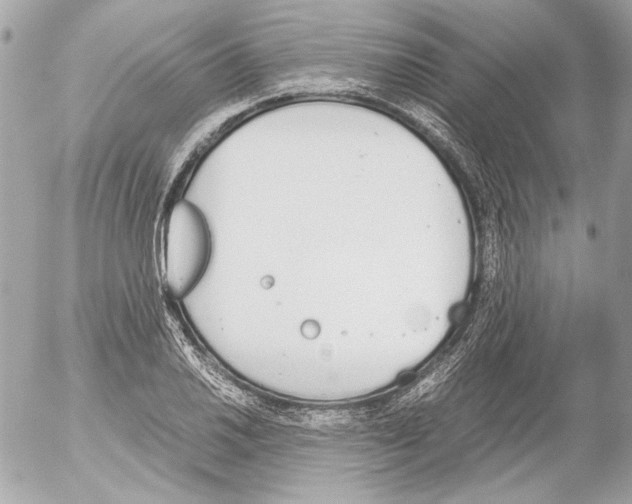 X0000052611030200507292143