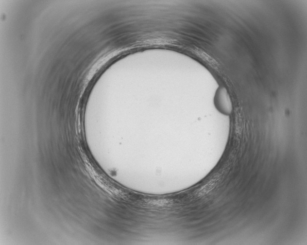 X0000052611031200507292143