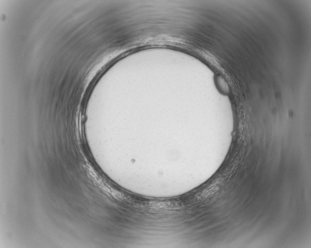 X0000052611032200507292143