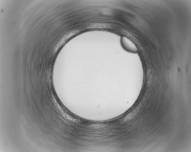 X0000052611033200507292143