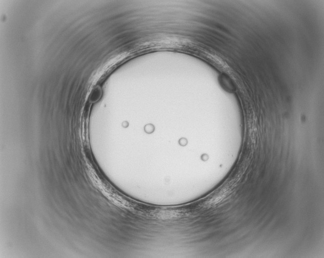 X0000052611034200507292143