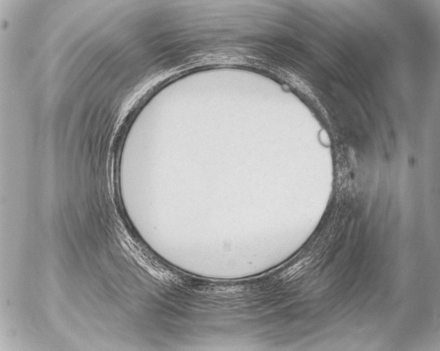 X0000052611035200507292143