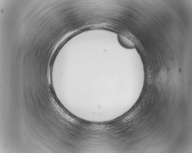 X0000052611036200507292143