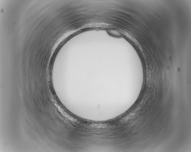 X0000052611037200507292143