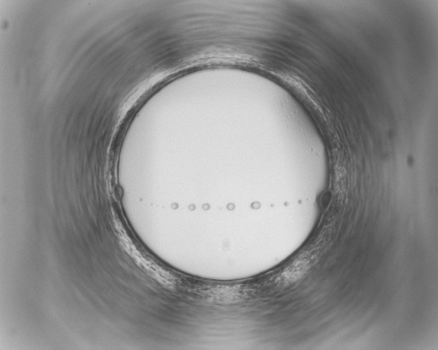 X0000052611038200507292144