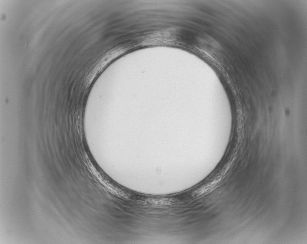 X0000052611041200507292144