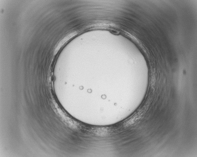 X0000052611042200507292144