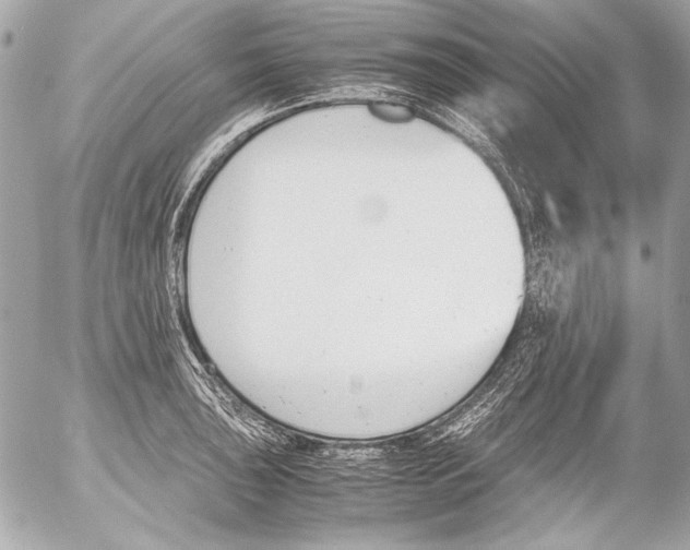 X0000052611043200507292144