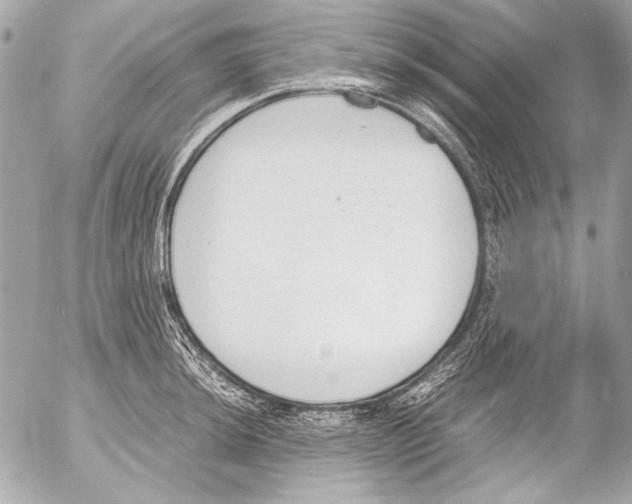 X0000052611044200507292144