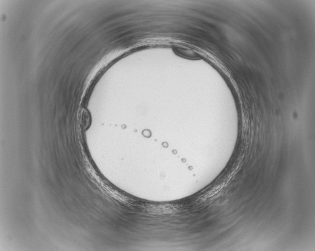 X0000052611045200507292144