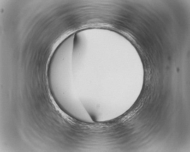 X0000052611046200507292144