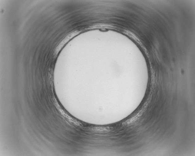 X0000052611049200507292144