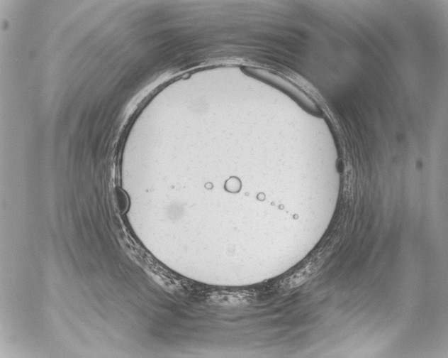 X0000052611051200507292144