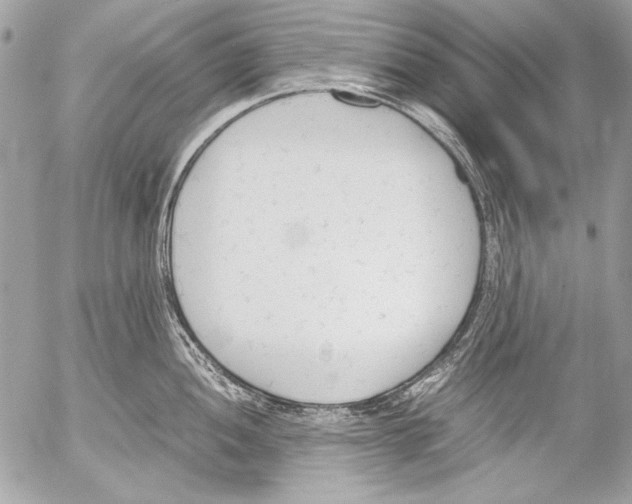 X0000052611052200507292144