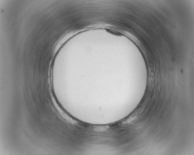 X0000052611055200507292144