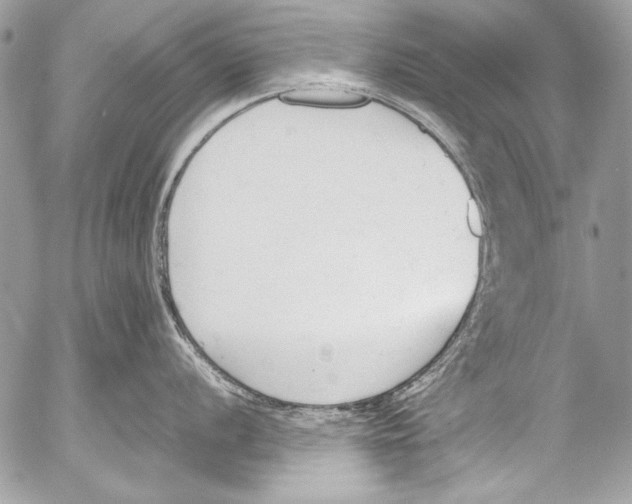 X0000052611056200507292144