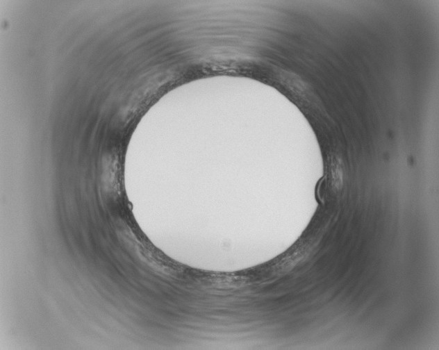 X0000052611060200507292143