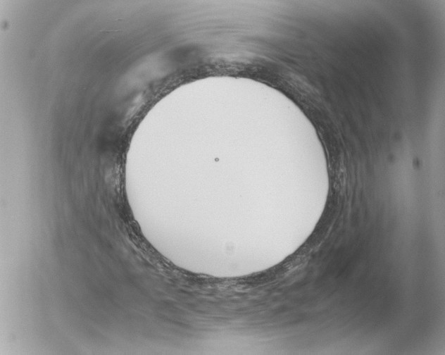 X0000052611061200507292143