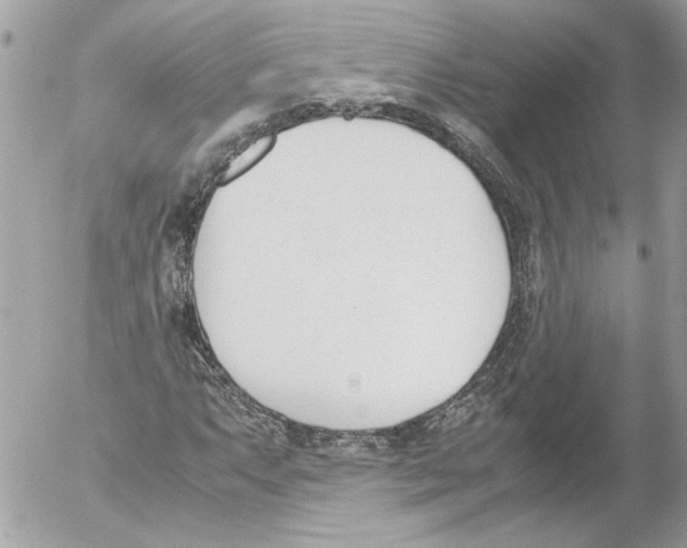 X0000052611063200507292143