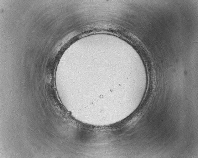 X0000052611065200507292143