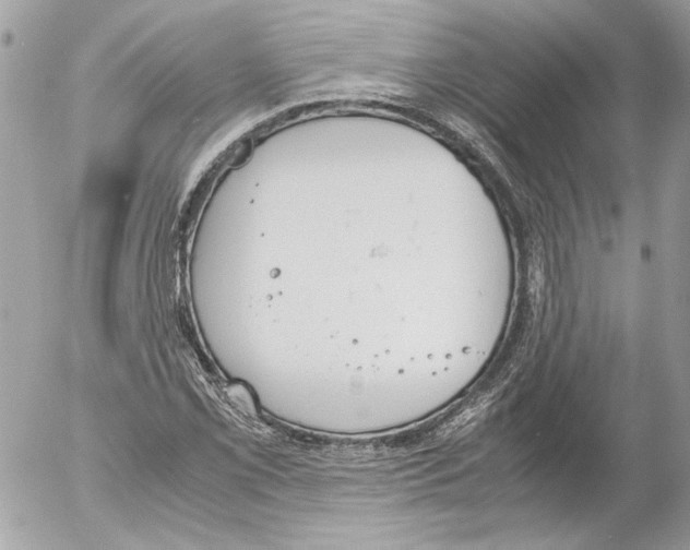 X0000052611069200507292143