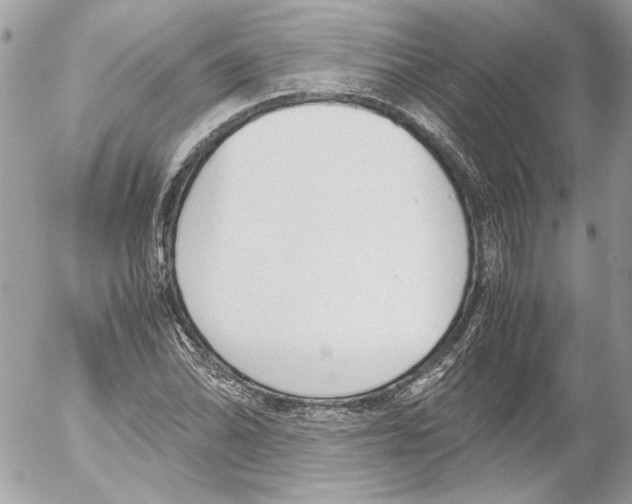 X0000052611070200507292143