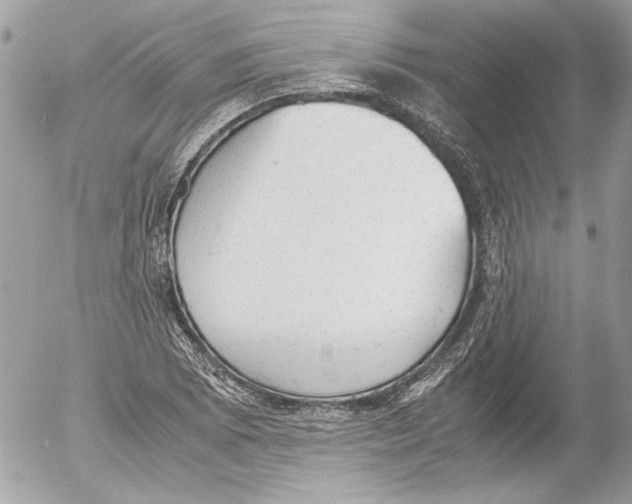 X0000052611073200507292143