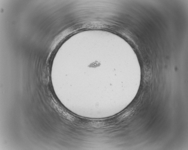 X0000052611075200507292143