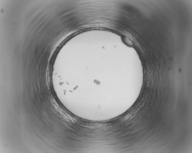 X0000052611076200507292143