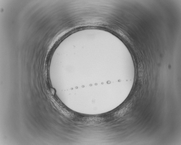 X0000052611077200507292143