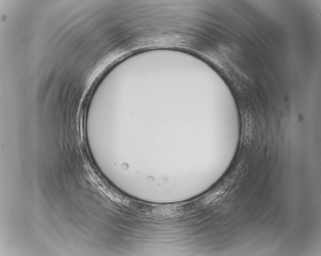 X0000052611078200507292143