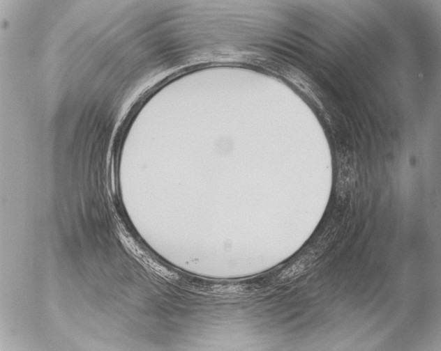 X0000052611080200507292143